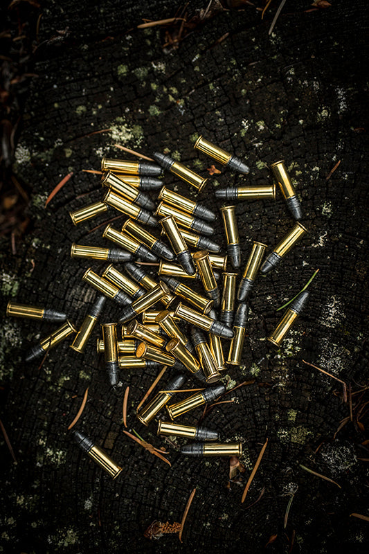 Precision Rimfire Ballistics: A guide on .22LR behavior in competitive environments